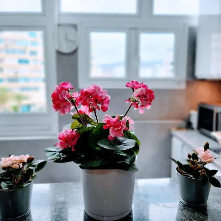 Paradise In Maspalomas Apartment